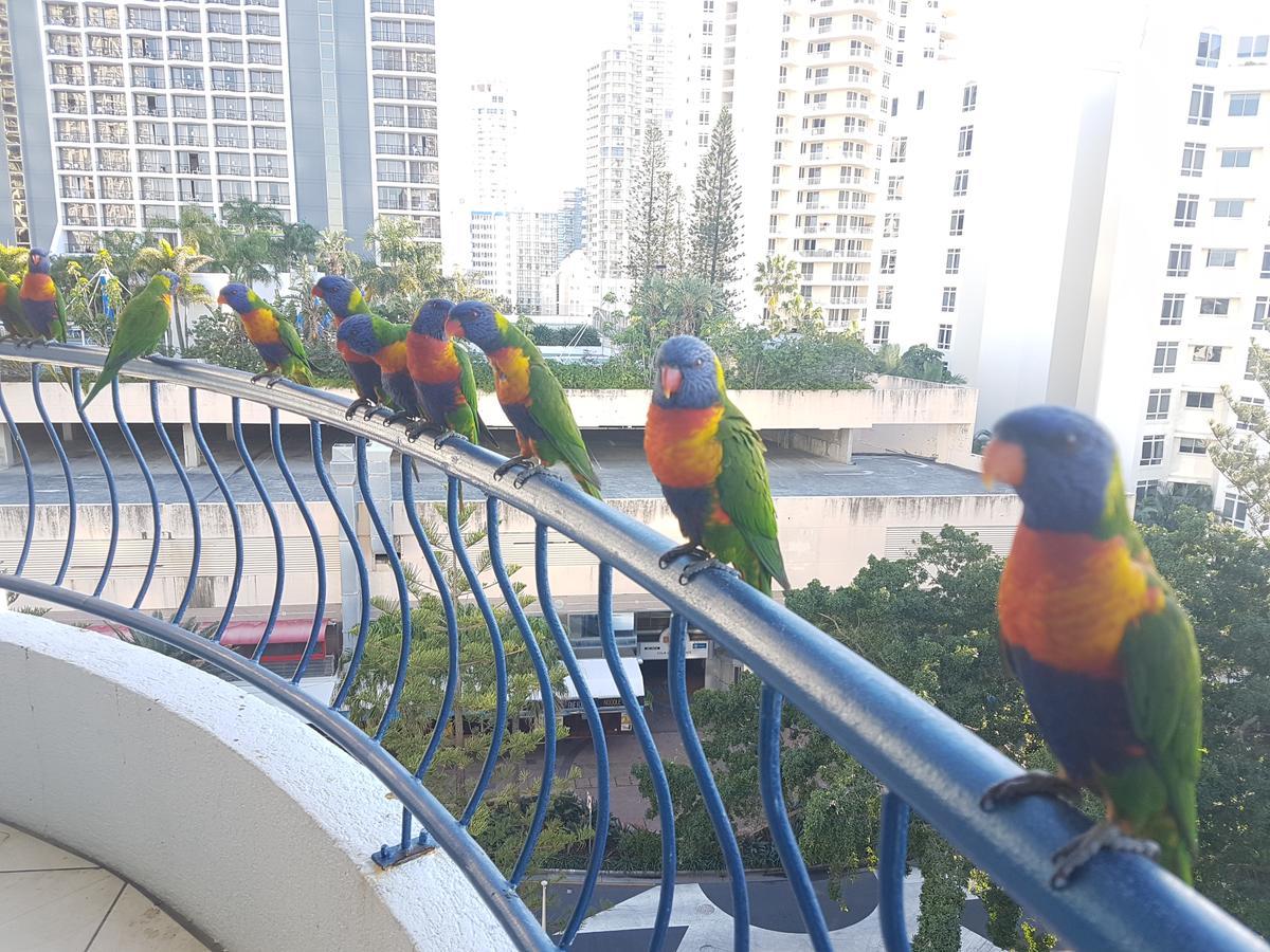 Monte Carlo Appartement Surfers Paradise Buitenkant foto